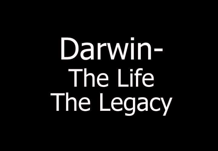 ¼Ƭ/Darwin-Ļ