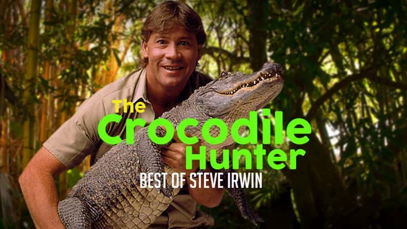 ¼Ƭ-ʷٷŷĵľѡ/Crocodile Hunter - The Best of Steve Irwin-Ļ