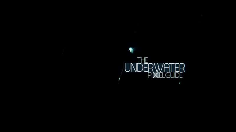 ¼Ƭˮָ/The Underwater Pixelguide-Ļ