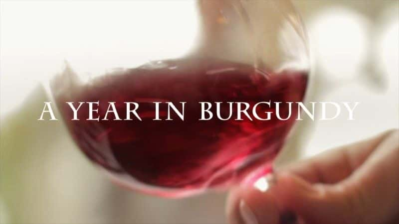 ¼Ƭ޵ڵһ/A Year in Burgundy-Ļ