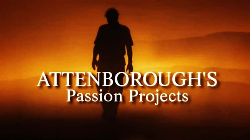 ¼ƬյļĿ/Attenborough's Passion Projects-Ļ