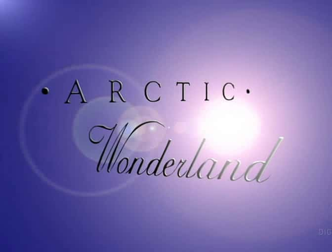 ¼Ƭɾ/Arctic Wonderland-Ļ