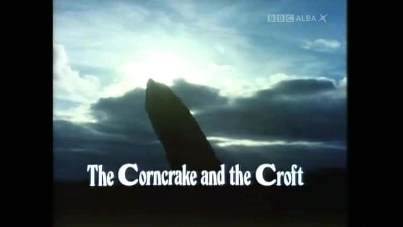¼Ƭݵũ/The Corncrake and the Croft-Ļ