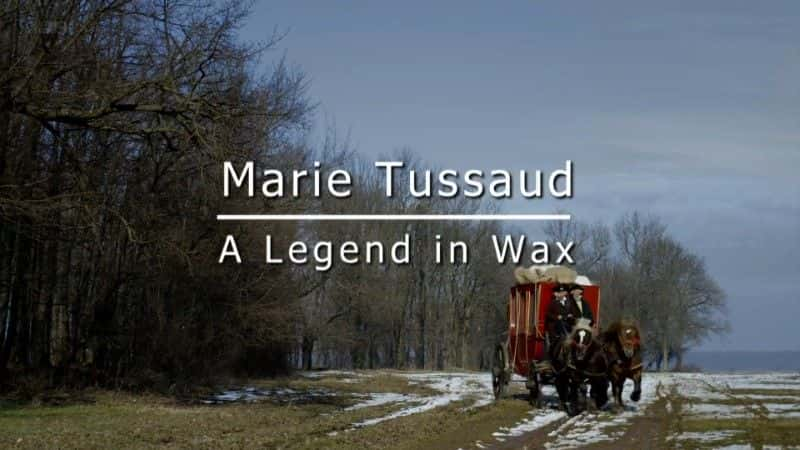 ¼Ƭķͼ/Madame Tussaud: A Legend in Wax-Ļ