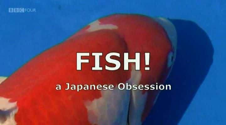 ¼Ƭ㣺ձĳ/Fish: A Japanese Obsession-Ļ