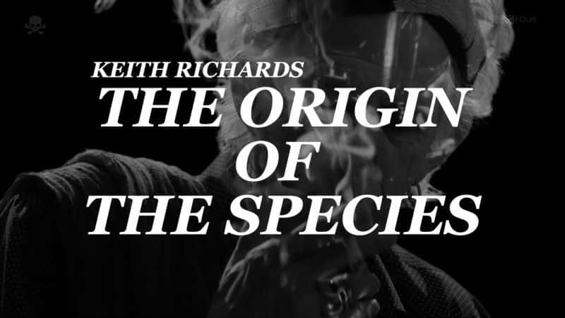 ¼Ƭ˼ȣֵԴݼ/Keith Richards: The Origin of the Species Director's Cut-Ļ