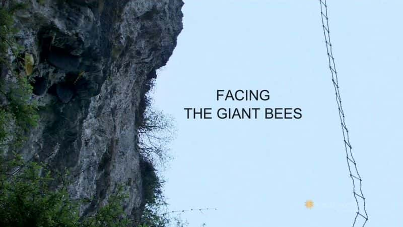 ¼ƬԾ۷/Facing the Giant Bees-Ļ