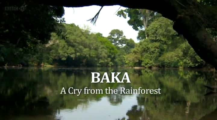 ¼ƬͿֵĺ/Baka: A Cry from the Rainforest-Ļ