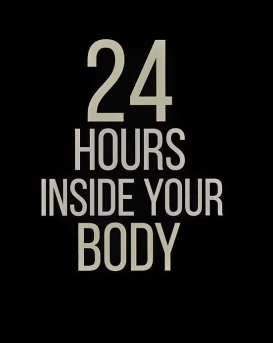 ¼Ƭ24Сʱڲ/24 Hours: Inside Your Body-Ļ