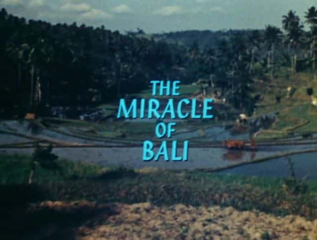 ¼Ƭ嵺漣/The Miracle of Bali-Ļ