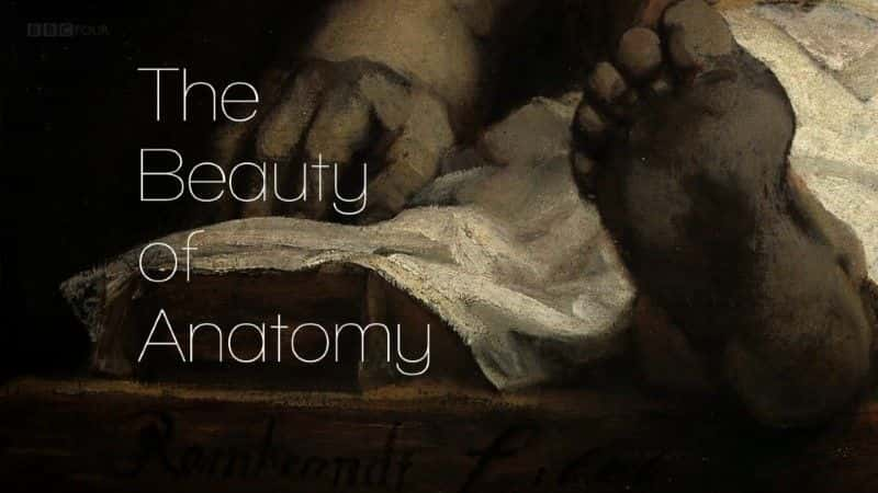 ¼Ƭ֮/The Beauty of Anatomy-Ļ