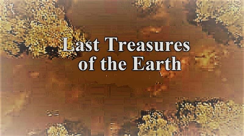 ¼Ƭϵ󱦲/Last Treasures of the Earth-Ļ