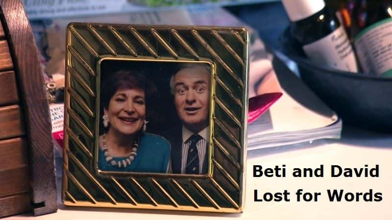 ¼Ƭٺʹʧ/Beti and David: Lost for Words-Ļ