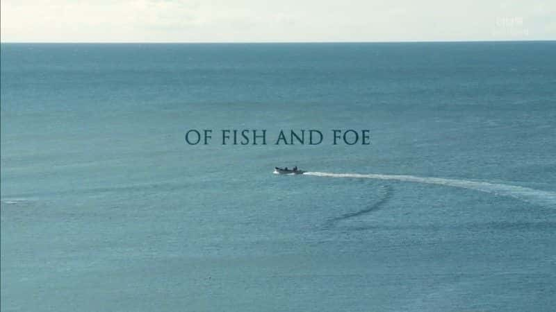 ¼Ƭ֮/Of Fish and Foe-Ļ