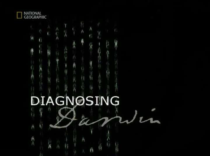 ¼Ƭĵ/Diagnosing Darwin-Ļ