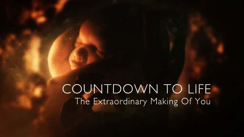 ¼ƬʱķǷ֮/Countdown to Life: The Extraordinary Making of You-Ļ