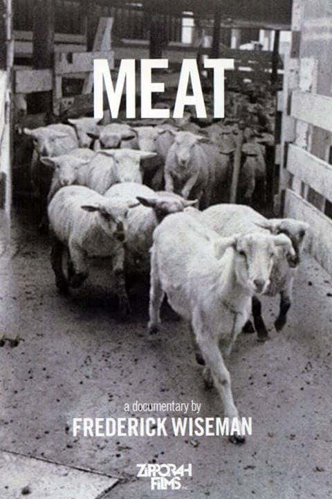 ¼Ƭ/Meat-Ļ