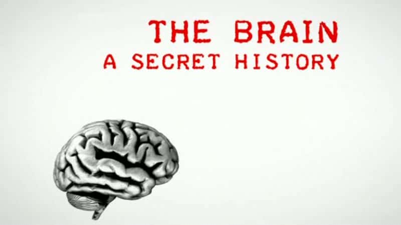 ¼Ƭ-һܵʷ/The Brain - A Secret History-Ļ