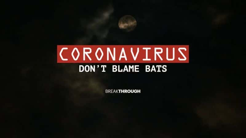 ¼Ƭͻƣ״/Breakthrough: Coronavirus Don't Blame Bats-Ļ