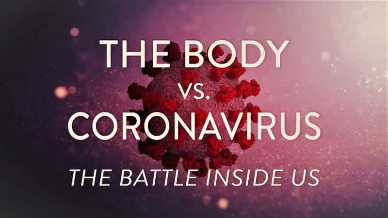 ¼ƬԿ״/The Body Vs. Coronavirus-Ļ