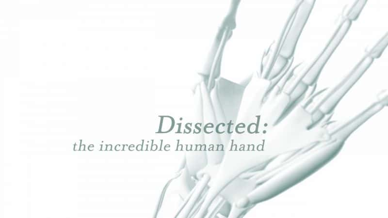 ¼Ƭ/Dissected-Ļ