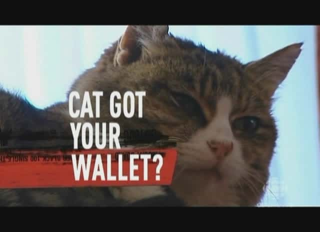 ¼ƬèץǮ/Cat Got Your Wallet-Ļ