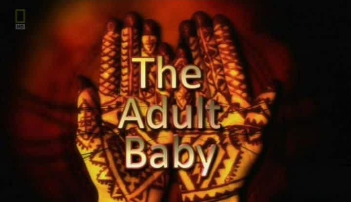 ¼ƬӤ/The Adult Baby-Ļ