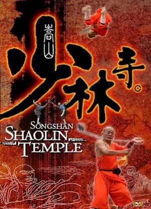 ¼Ƭɽ/Songshan Shaolin Temple-Ļ