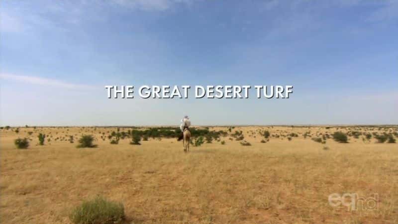 ¼ƬΰɳĮƤ/The Great Desert Turf-Ļ