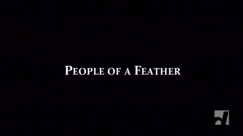 ¼Ƭë֮/People of a Feather-Ļ