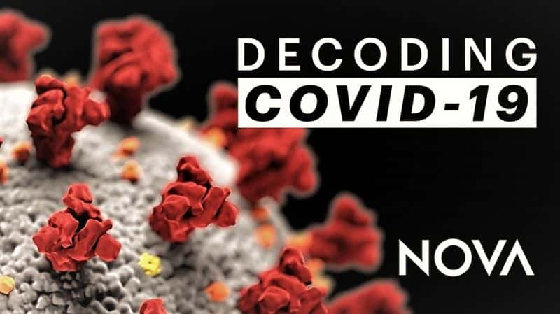 ¼ƬNOVACOVID 19/NOVA: Decoding COVID 19-Ļ