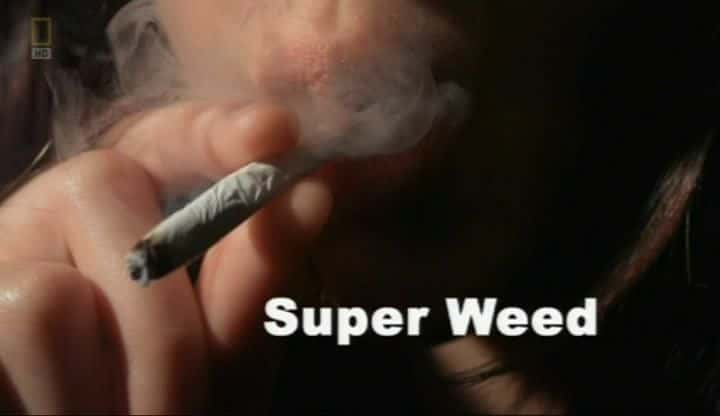 ¼ƬӲ/Super Weed-Ļ