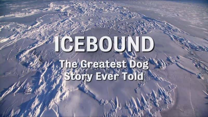 ¼Ƭ⣺ʷΰĹĹ/Icebound: The Greatest Dog Story Ever Told-Ļ