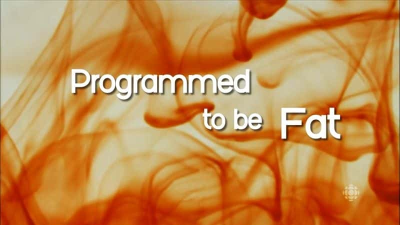 ¼ƬΪ/Programmed to be Fat-Ļ