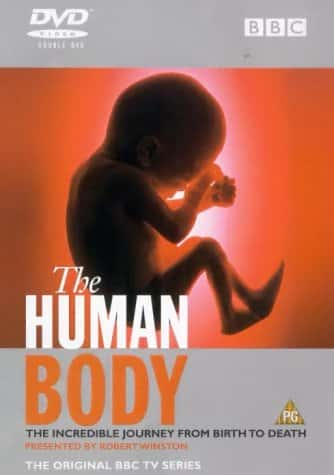 ¼Ƭ/The Human Body-Ļ