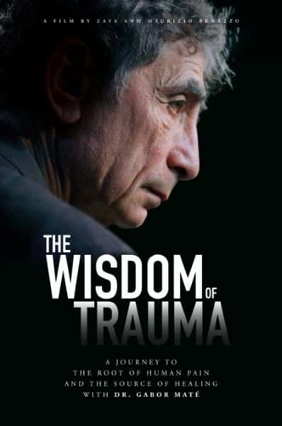 ¼Ƭ˵ǻ/The Wisdom of Trauma-Ļ