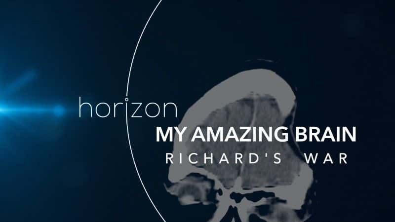 ¼Ƭҵľ˴ԣµս/My Amazing Brain: Richard's War-Ļ