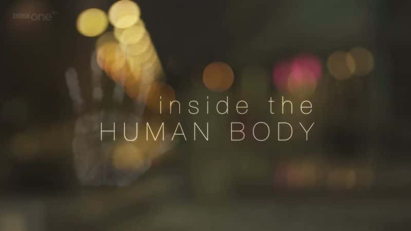 ¼Ƭڲ-ѡϵ/Inside the Human Body - Best of Series-Ļ