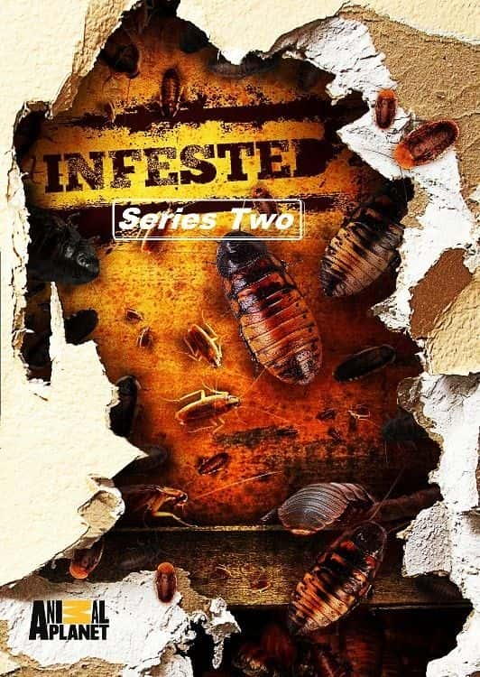 ¼Ƭ֣ϵ2/Infested: Series 2-Ļ