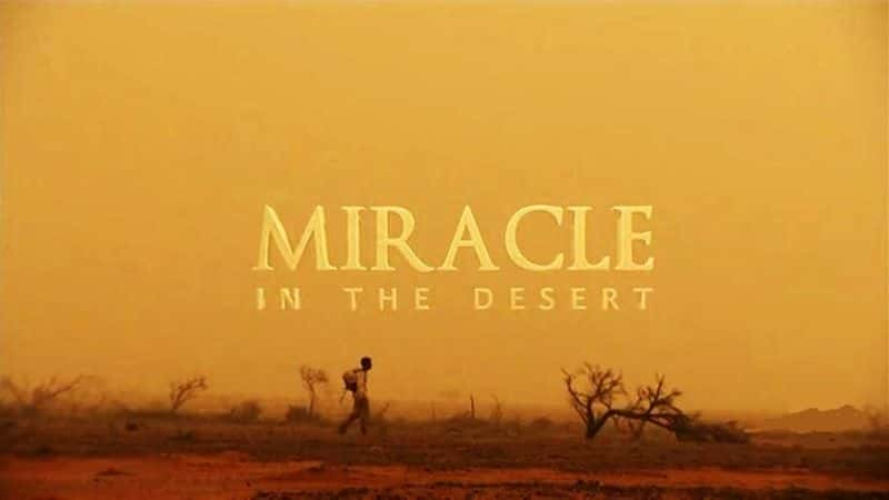 ¼ƬɳĮ漣/Miracle In The Desert-Ļ