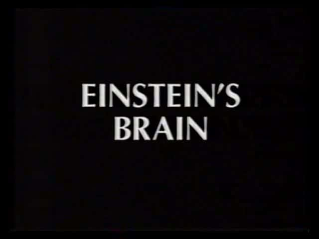 ¼Ƭ˹̹Ĵ/Relics: Einstein's Brain-Ļ