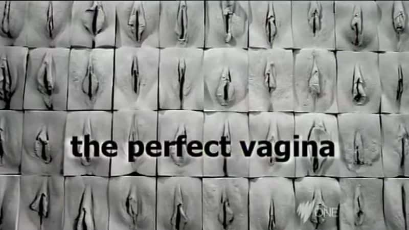 ¼Ƭ/The Perfect Vagina-Ļ