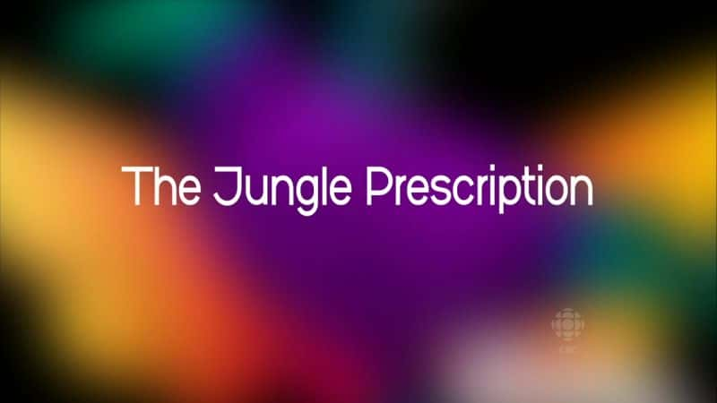 ¼Ƭִ/The Jungle Prescription-Ļ