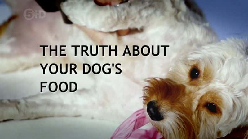 ¼Ƭ㹷ʳ/The Truth About Your Dog's Food-Ļ