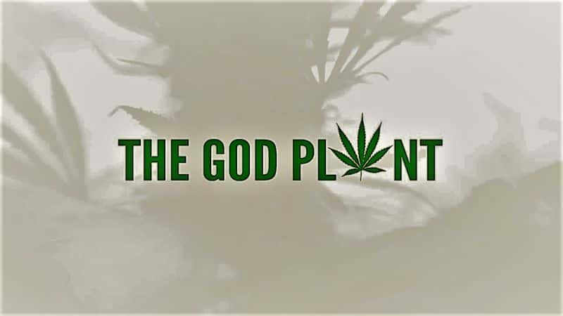 ¼Ƭϵֲ֮/The God Plant-Ļ