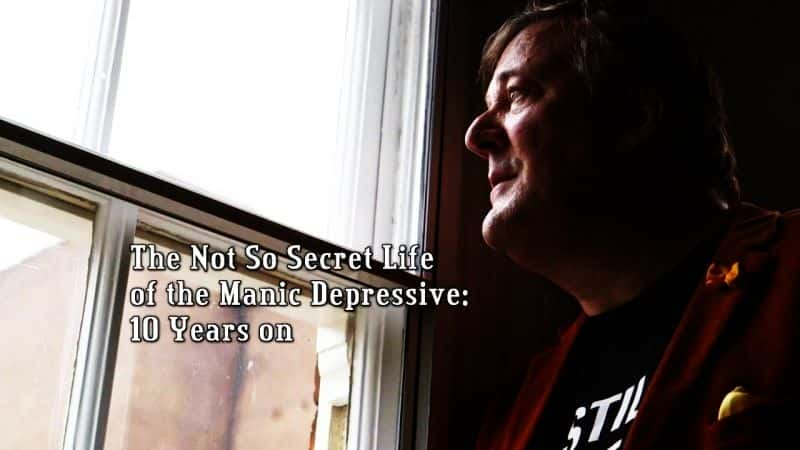 ¼Ƭ֢Ĳô10/The not So Secret Life of the Manic Depressive: 10 Years on-Ļ