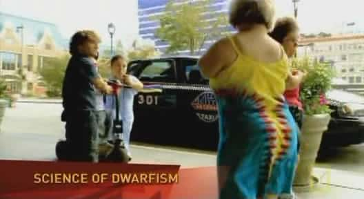 ¼Ƭ٪֢Ŀѧ/Science of Dwarfism-Ļ