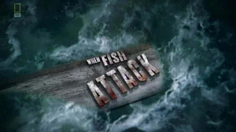 ¼ƬϮʱ/When Fish Attack-Ļ