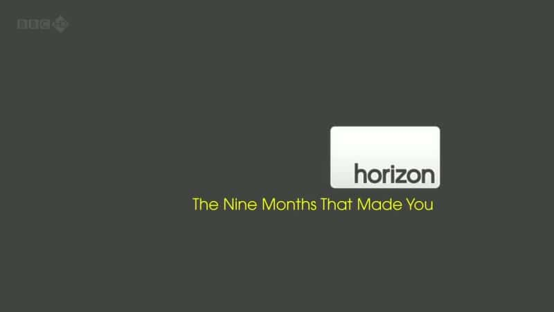 ¼ƬľŸ/The Nine Months That Made You-Ļ