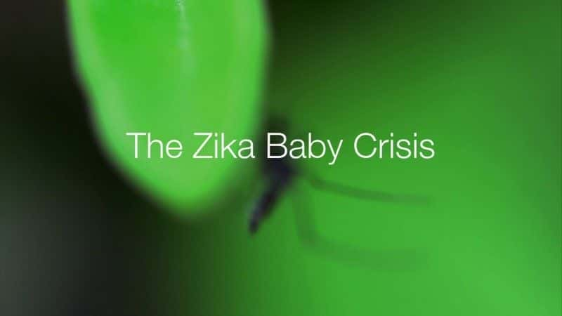 ¼ƬկӤΣ/The Zika Baby Crisis-Ļ